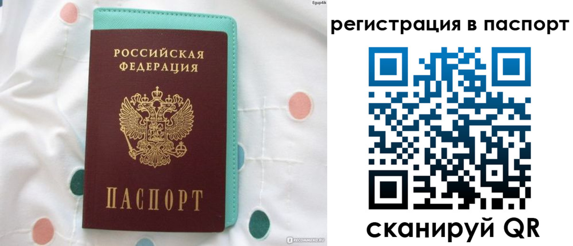 прописка для работы в Долгопрудном